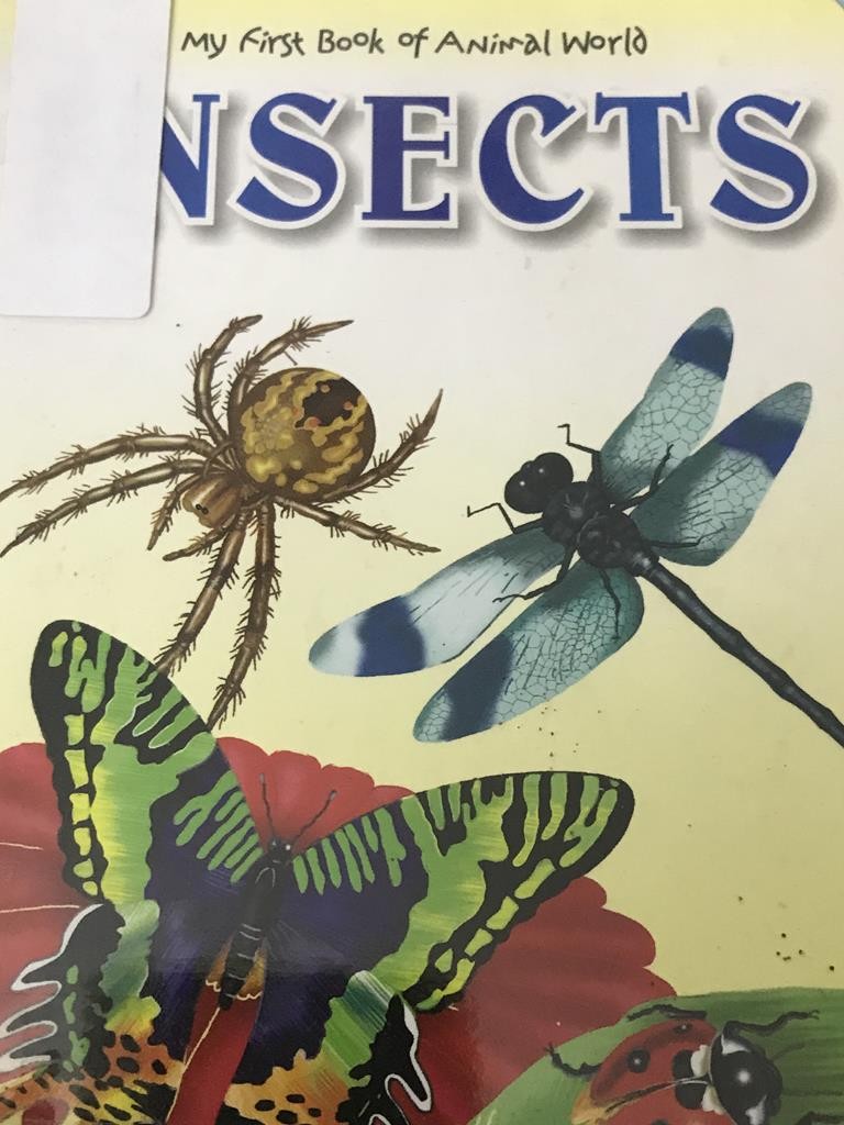 Insects