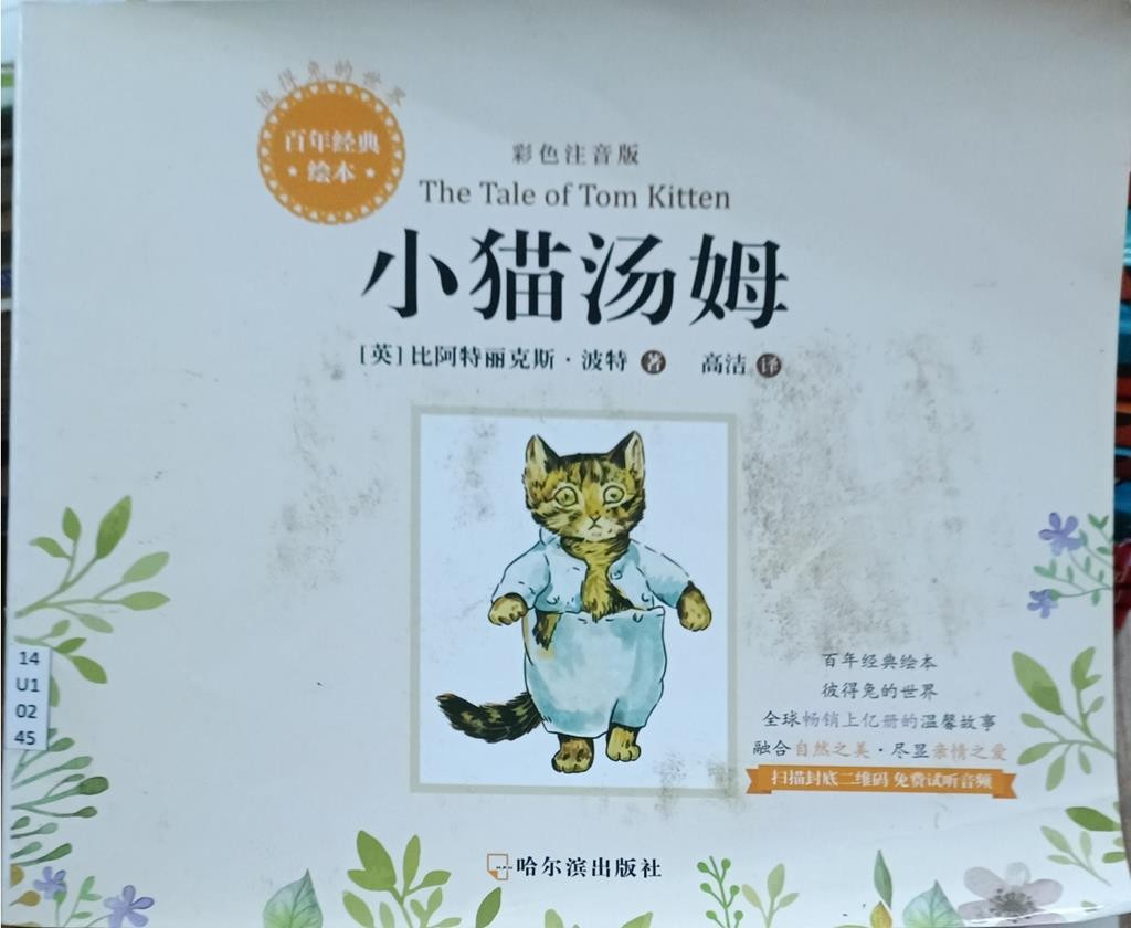 小猫汤姆