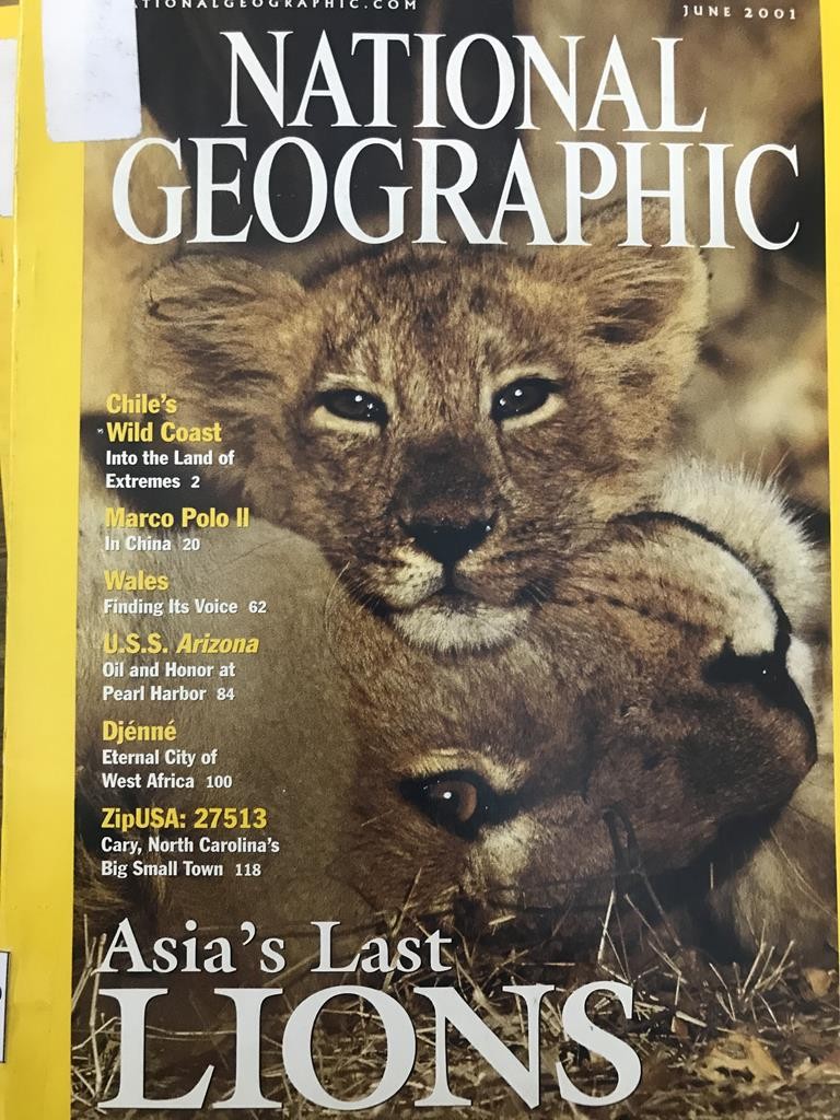 National Geographic - Asia's Last Lions