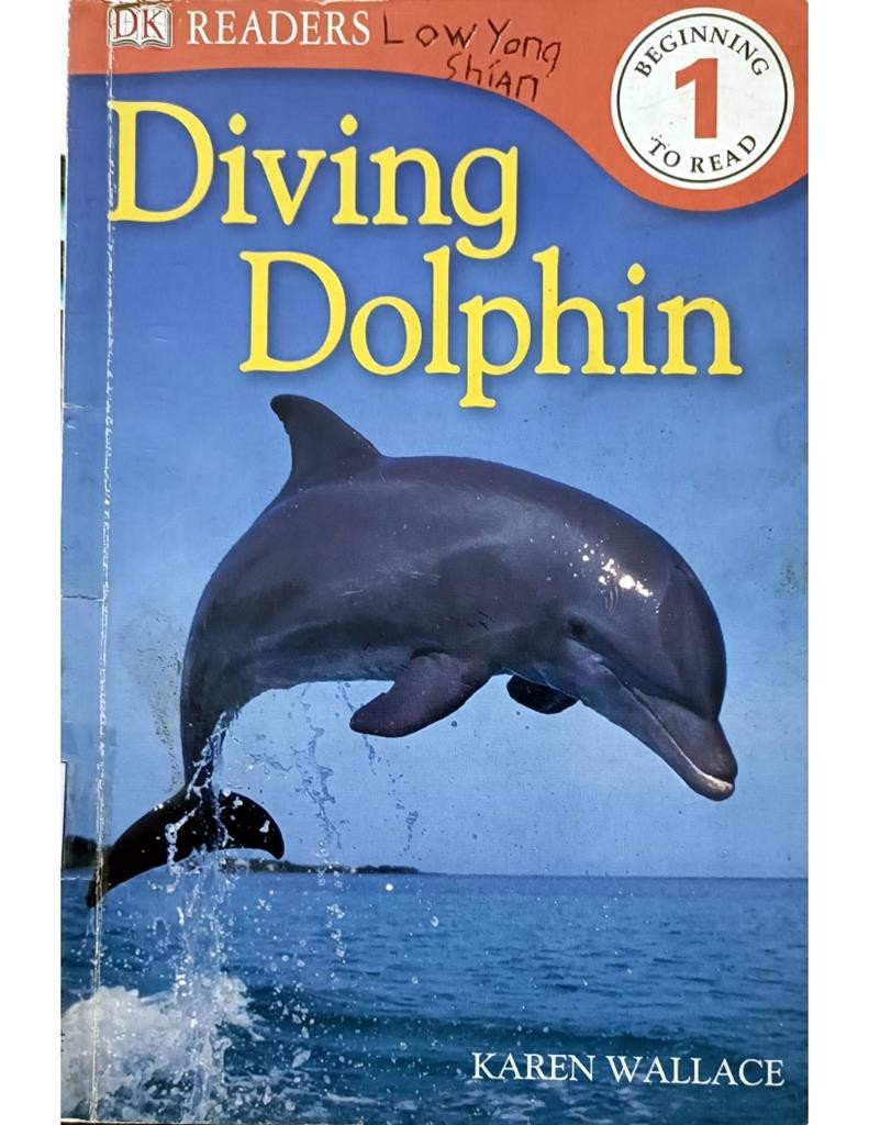 Diving Dolphin