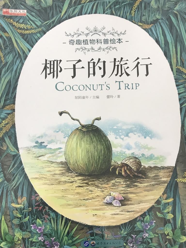 椰子的旅行