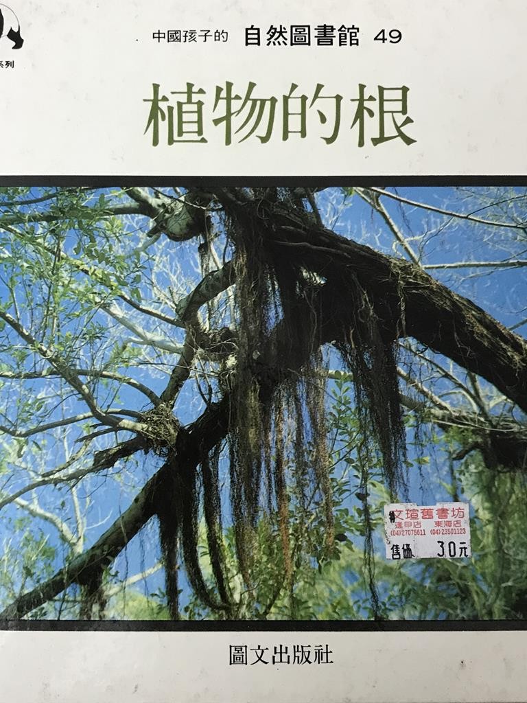 植物的根