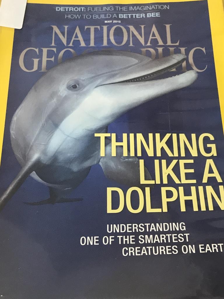 National Geographic - Thinking Like A Dolphin