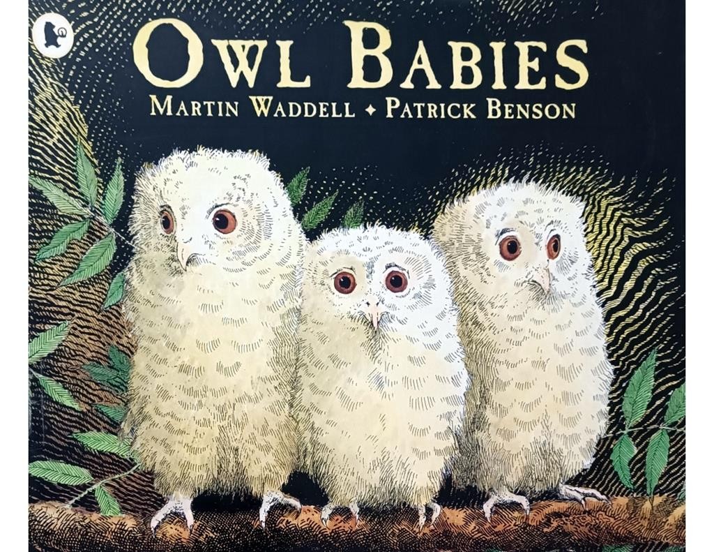 Owl Babies