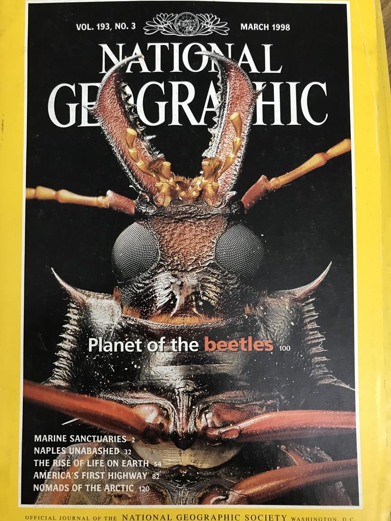 National Geographic - Planet Of The Beetles