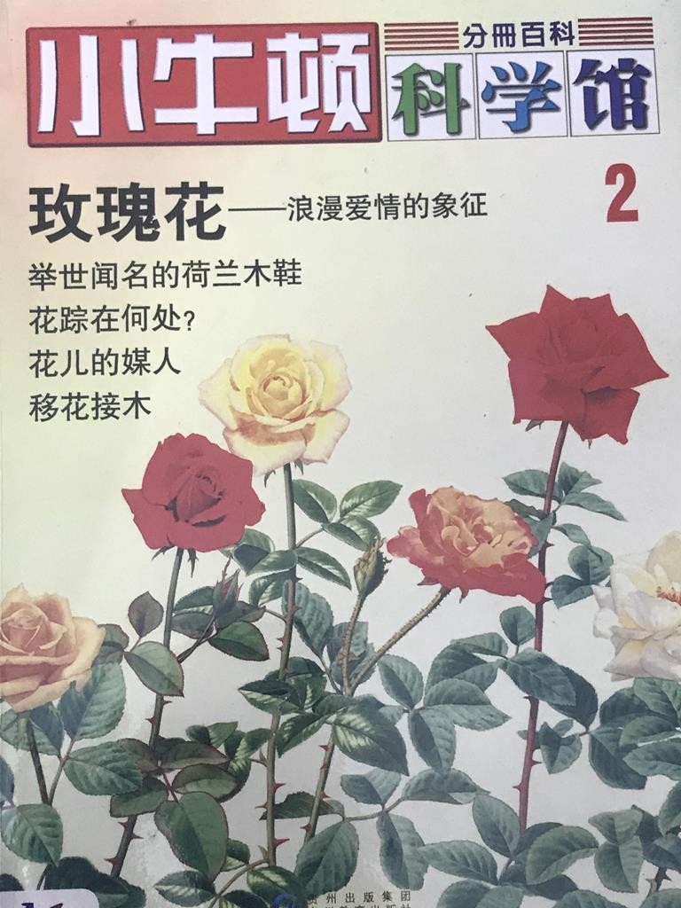 【小牛顿科学馆】玫瑰花——浪漫爱情的象征