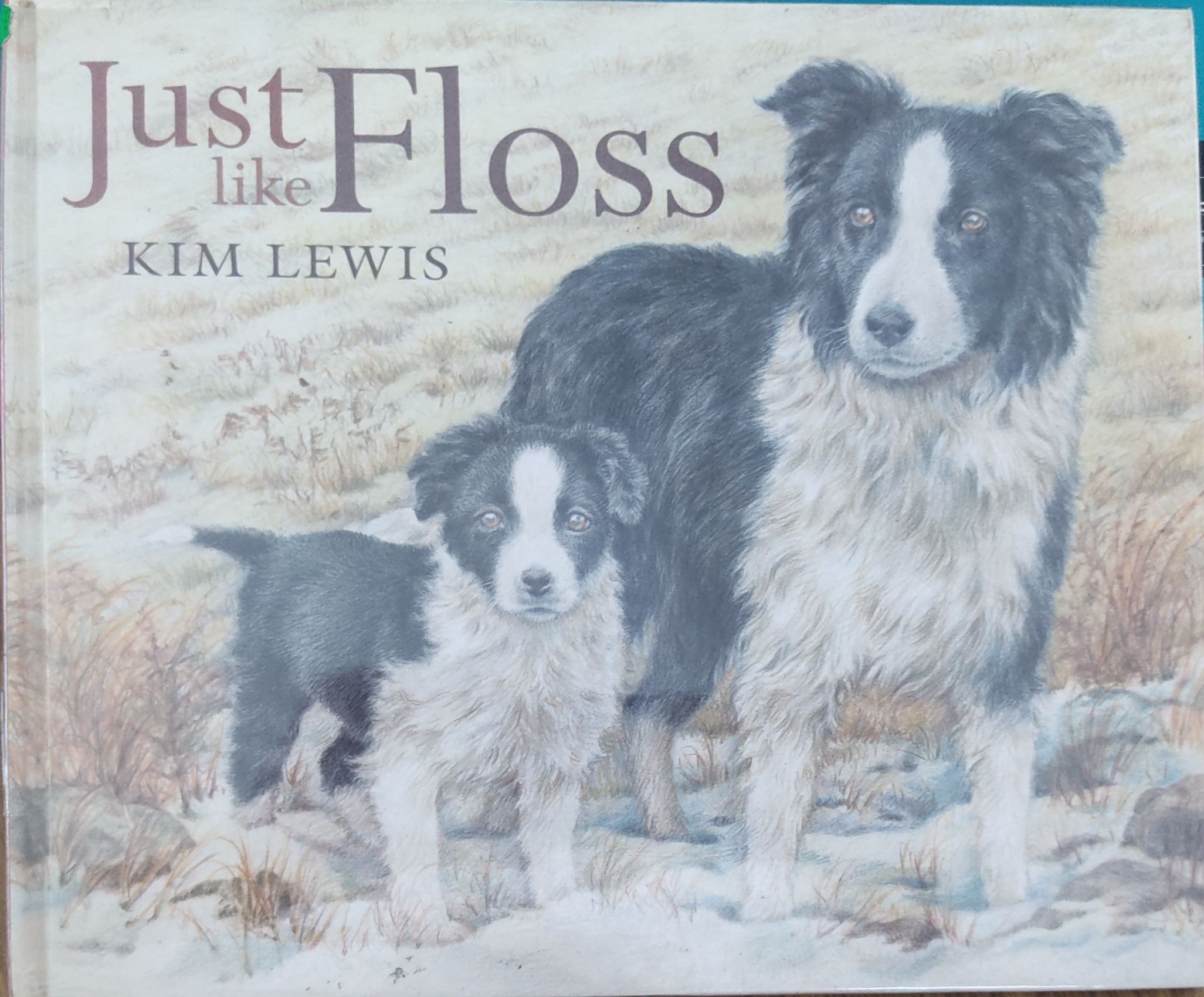 Just Like Floss