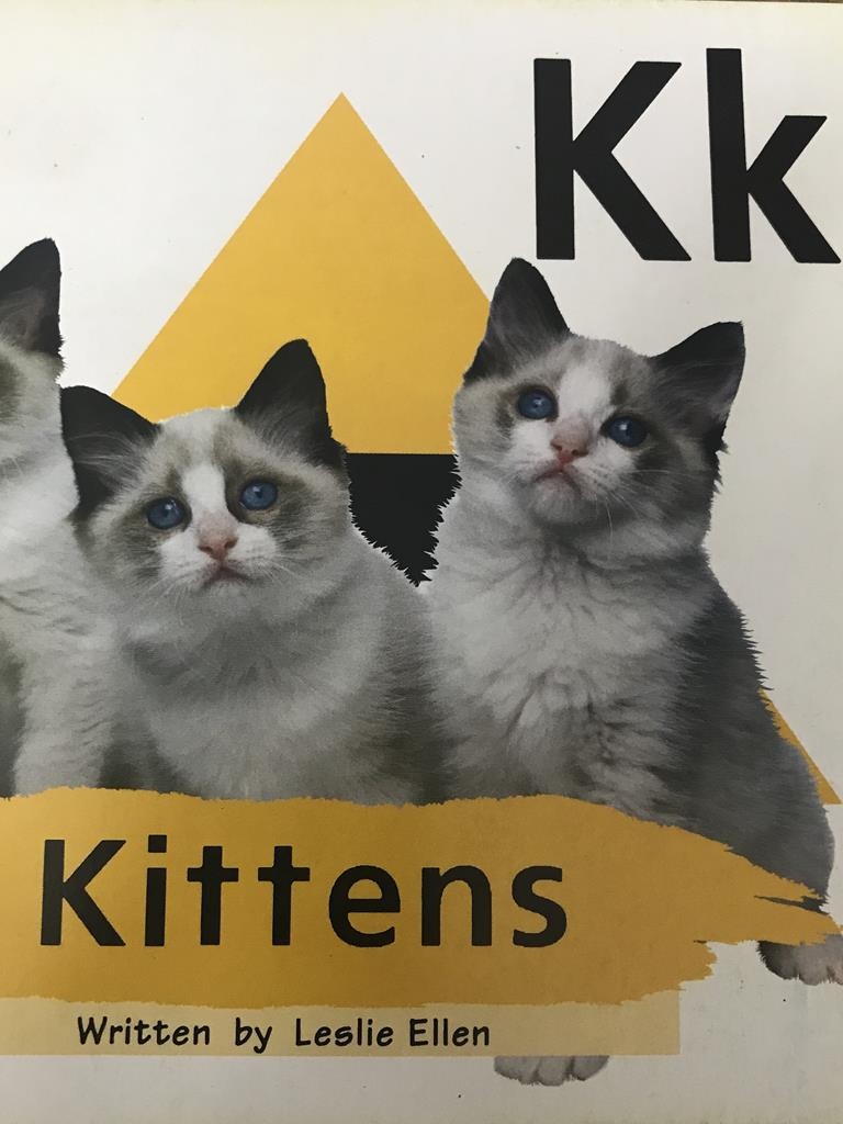 Kk Kittens