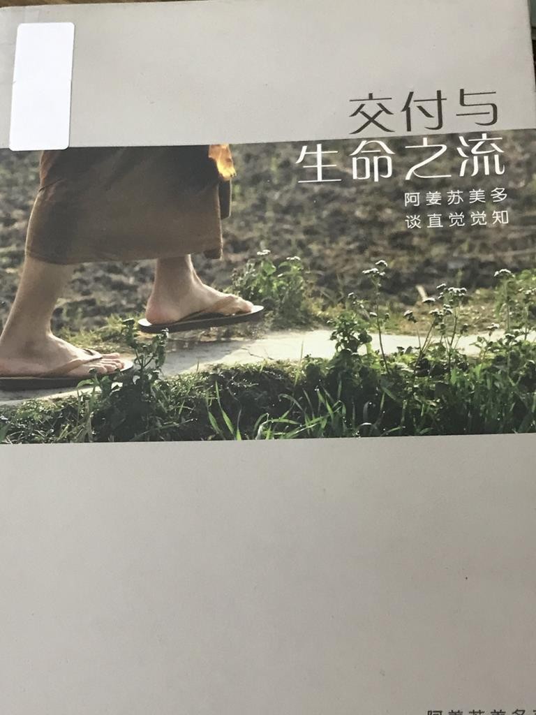 交付与生命之流