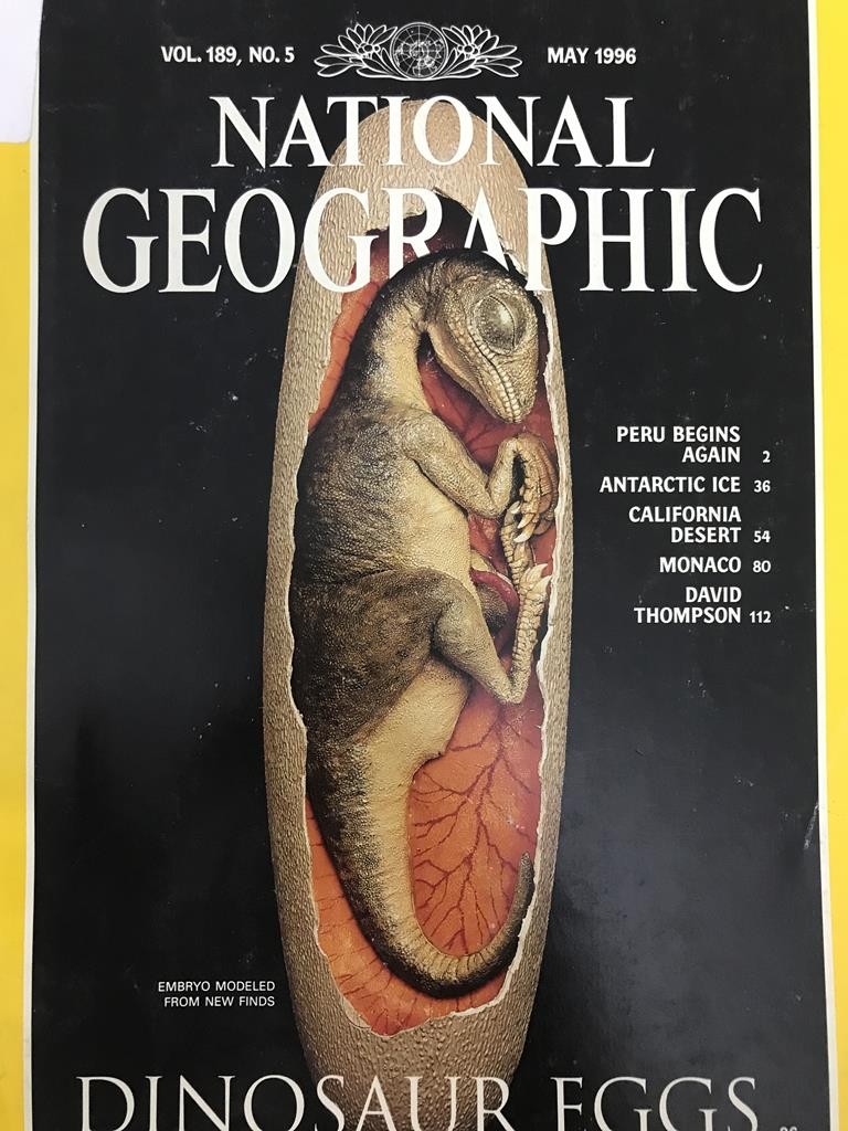 National Geographic-Dinosaur Eggs