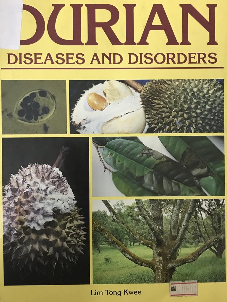 Durian Diseases And Disorders