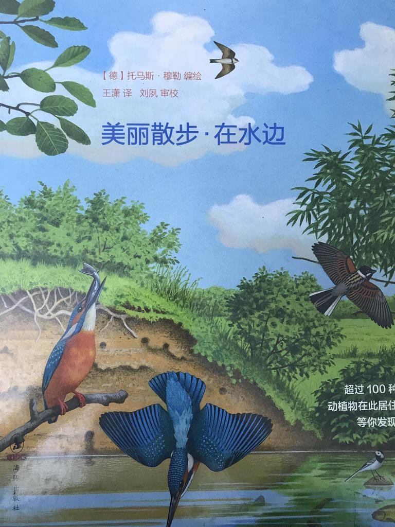 美丽散步 在水边