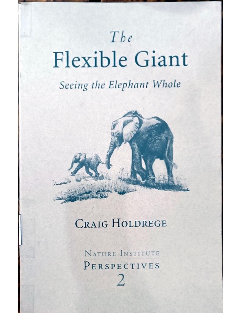 The Flexible Giant