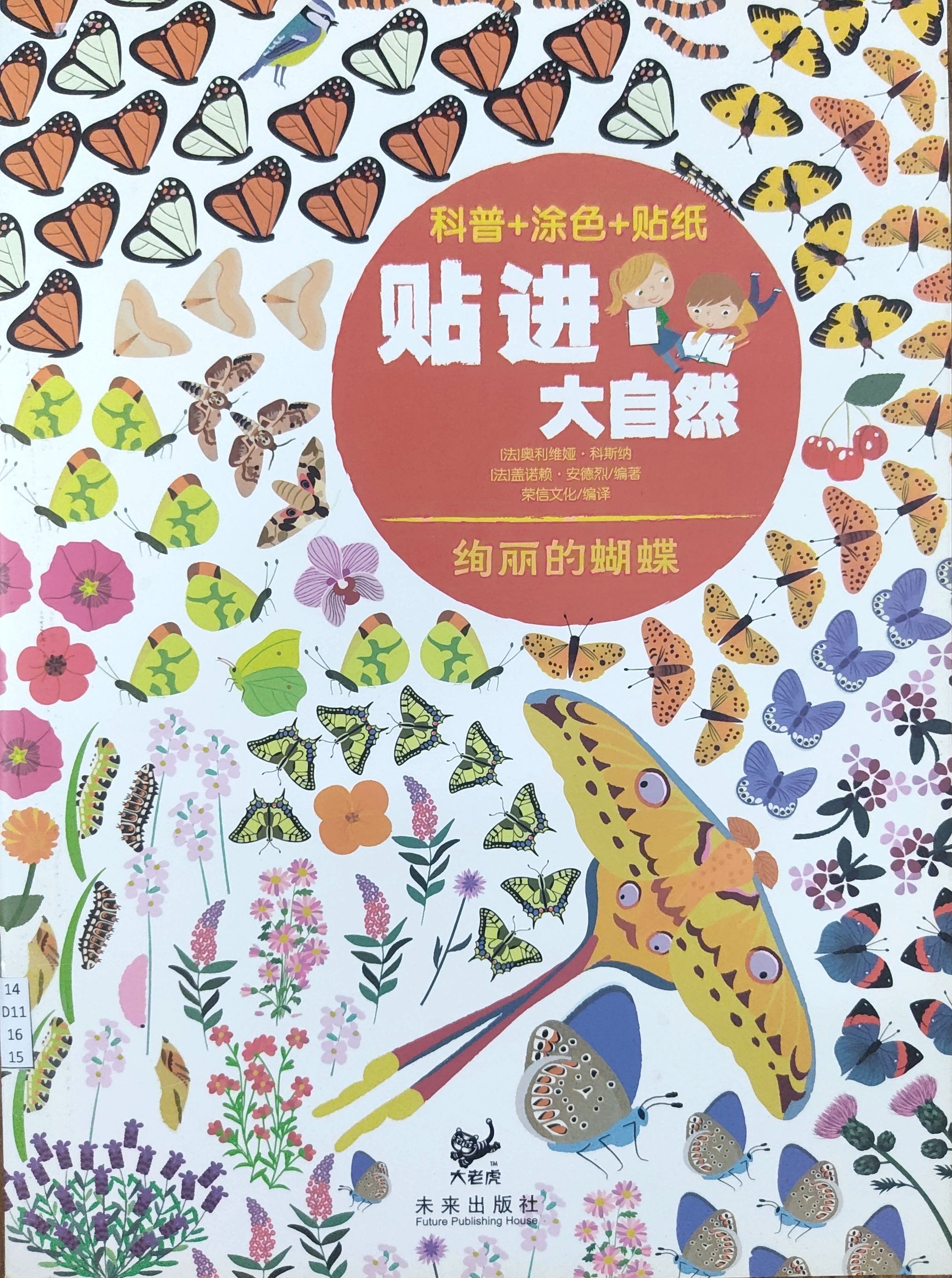 绚丽的蝴蝶