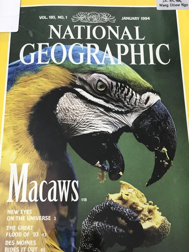 National geographic-Macaws