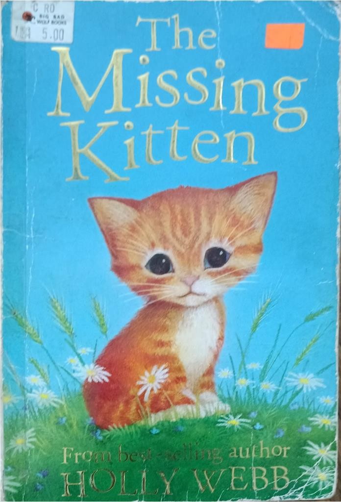 The Missing Kitten