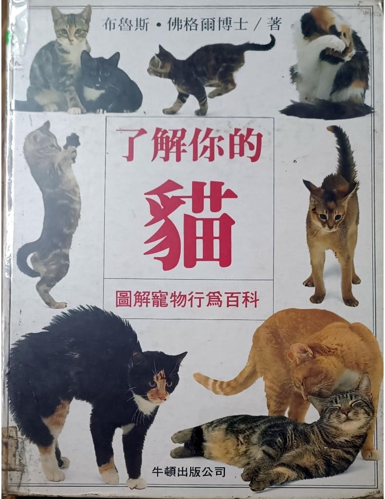 了解你的猫