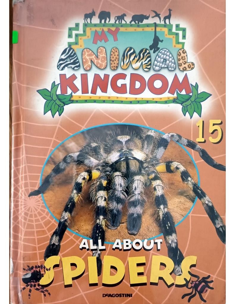 All About Spiders