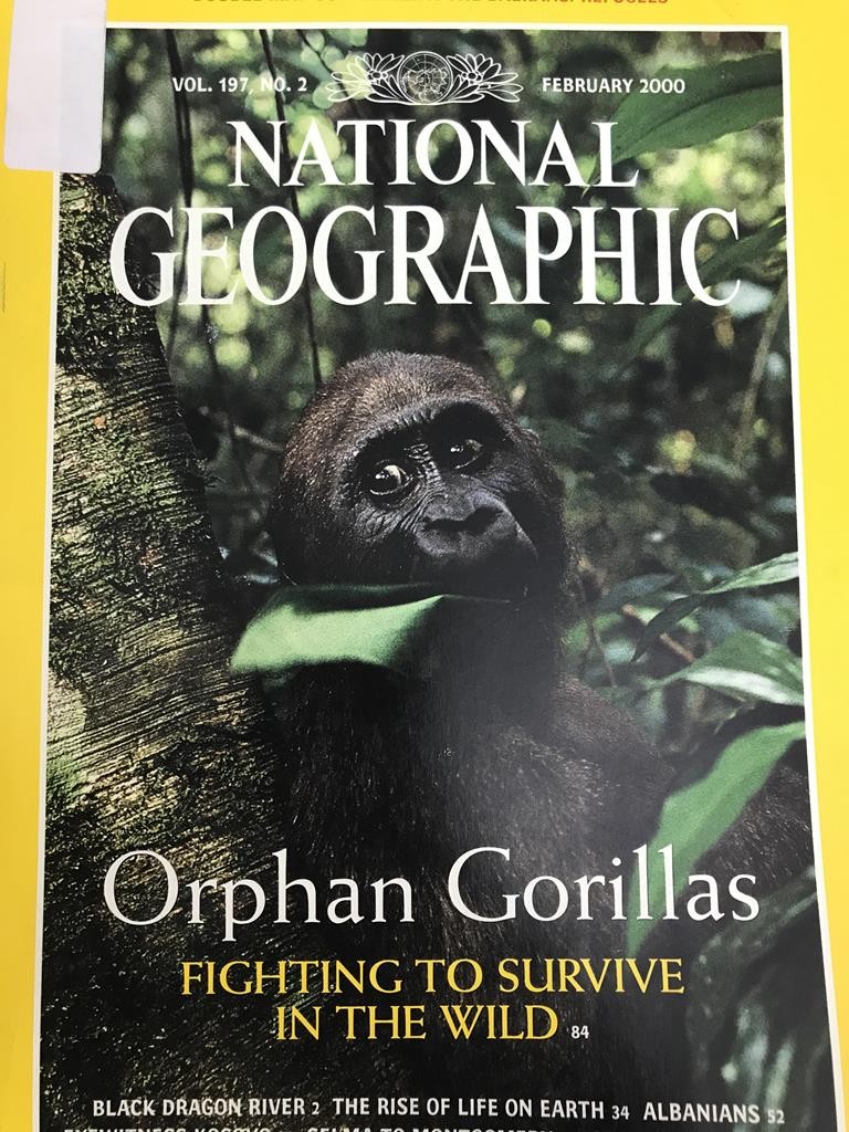 National Geographic -Orphan Gorillas