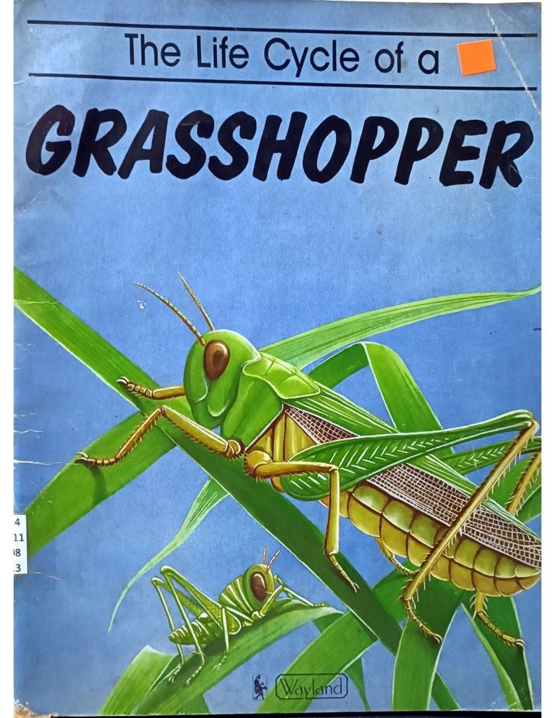 The Life Cycle Of A Grasshopper