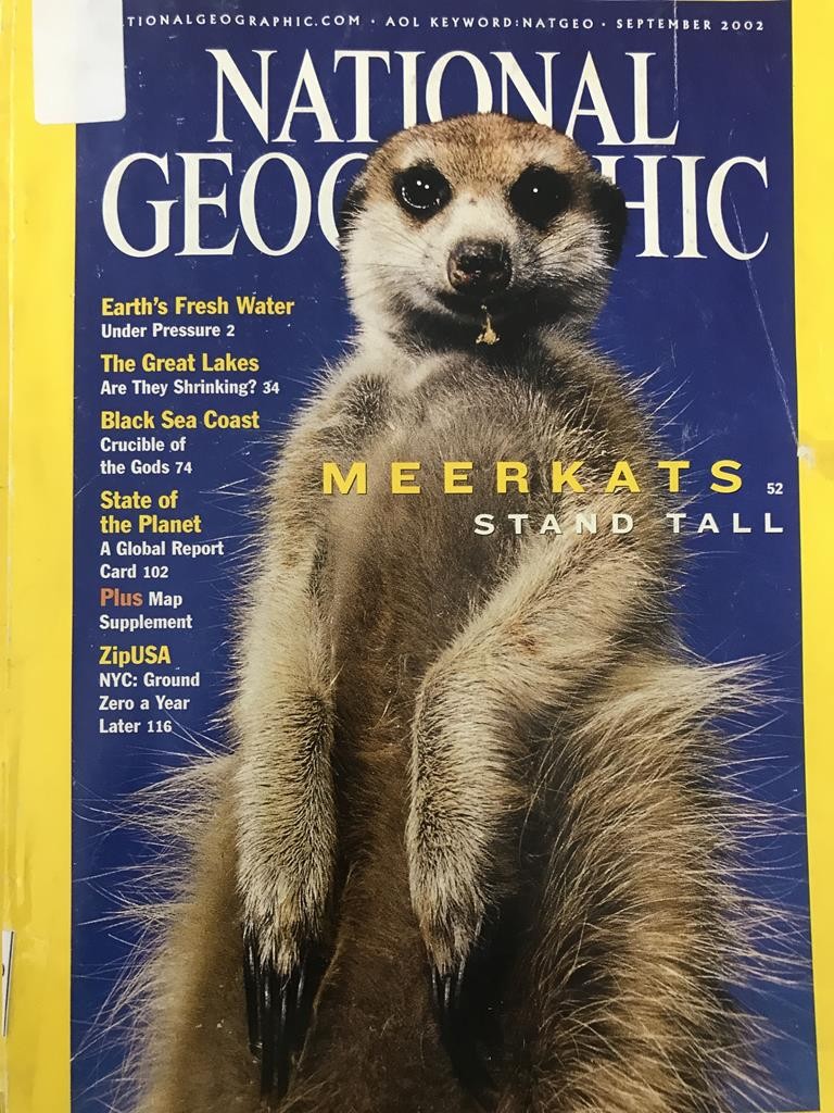 National Geographic - Meerkats