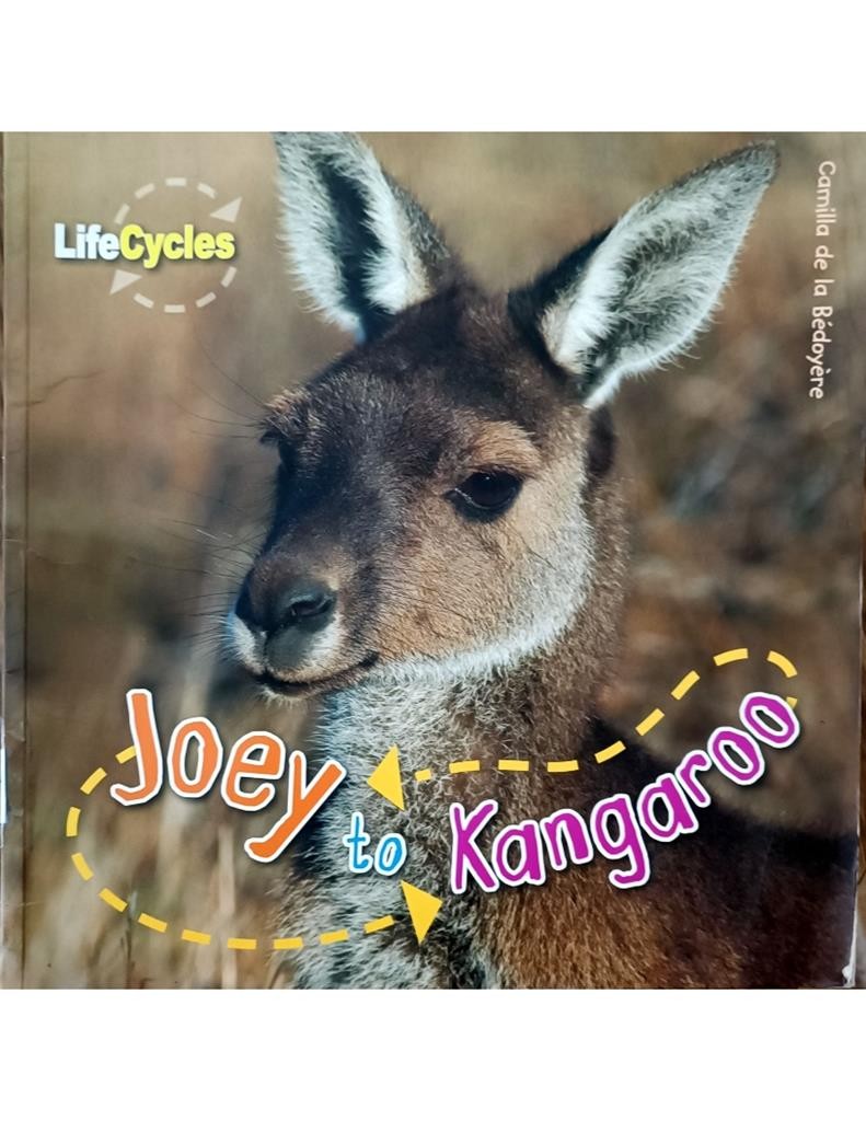 Joey To Kangaroo