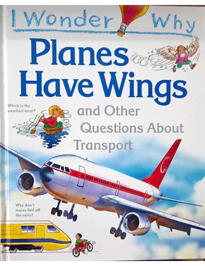 Planes Have Wings ( I Wonder Why)