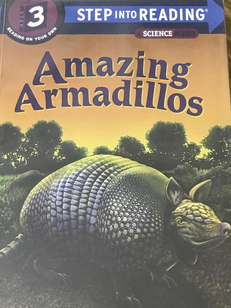 Amazing Armadillos