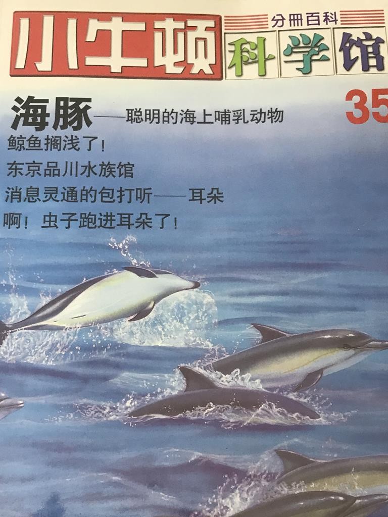 【小牛顿科学馆】海豚——聪明的海上哺乳动物