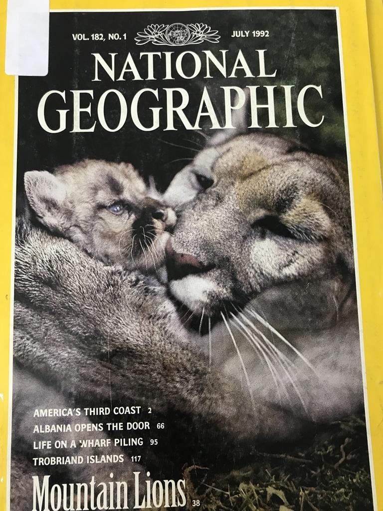 National Geographic-Mountian Lions