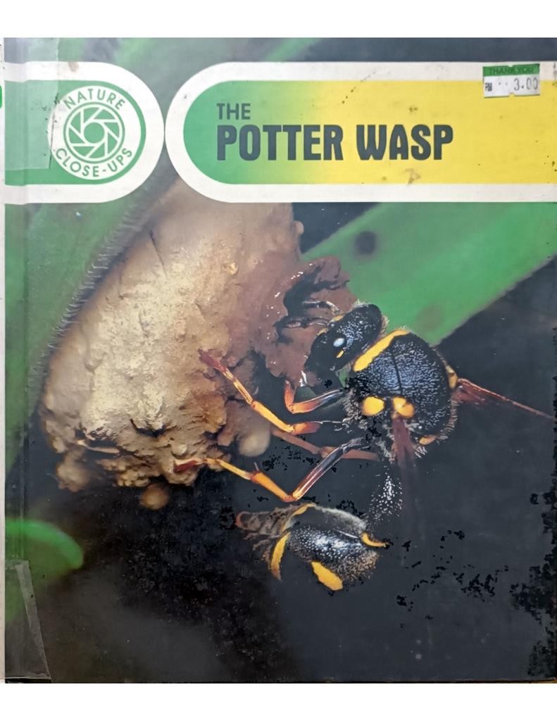 The Potter Wasp