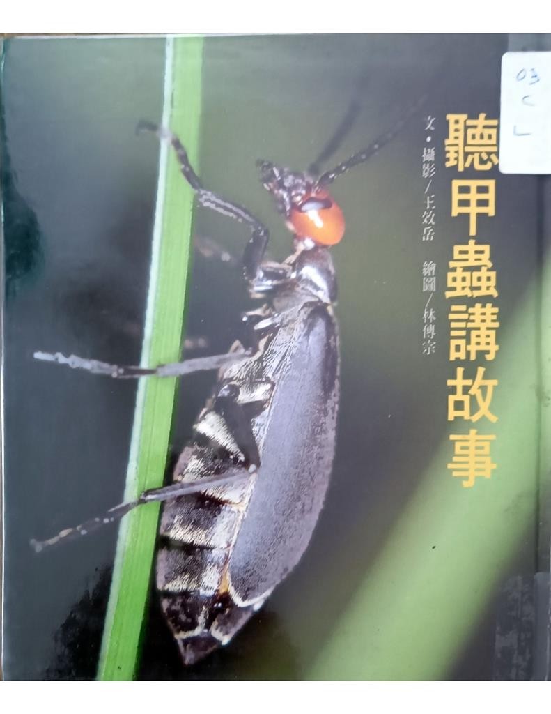 听甲虫讲故事