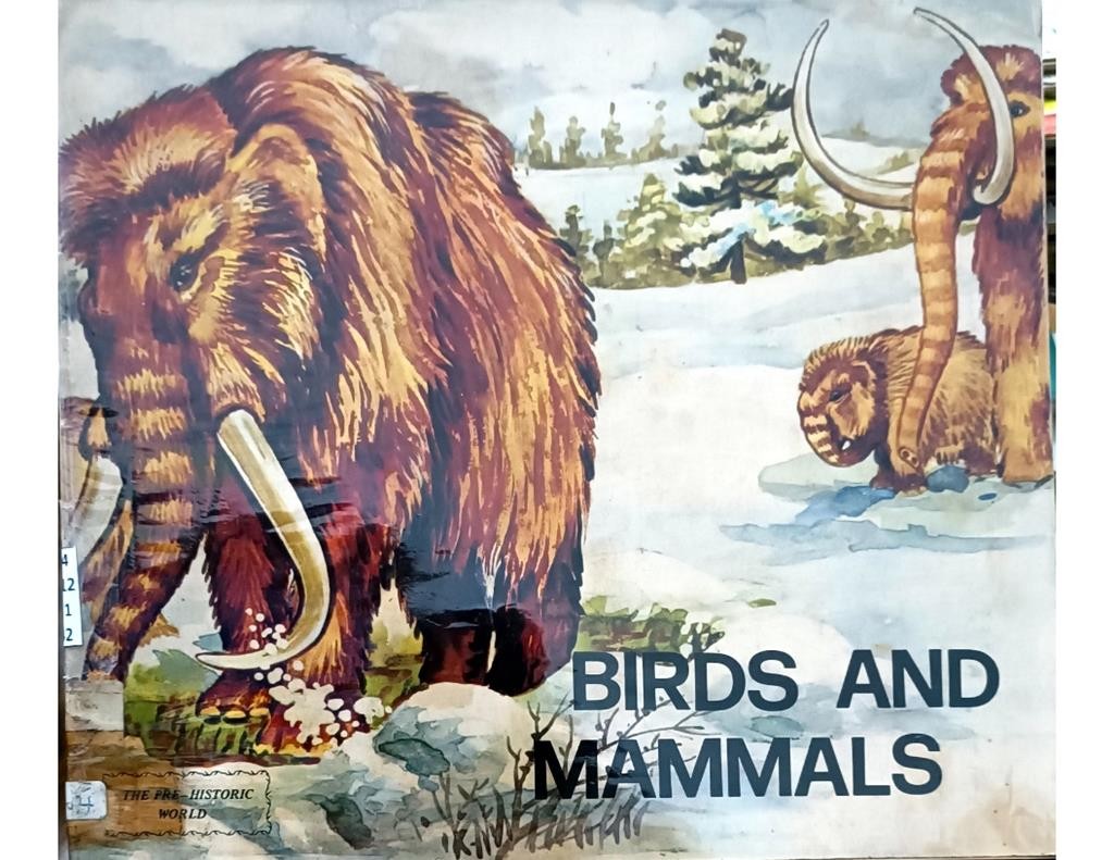 Birds And Mammals