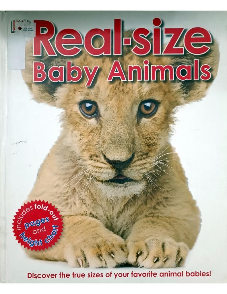 Real - Size Baby Animals