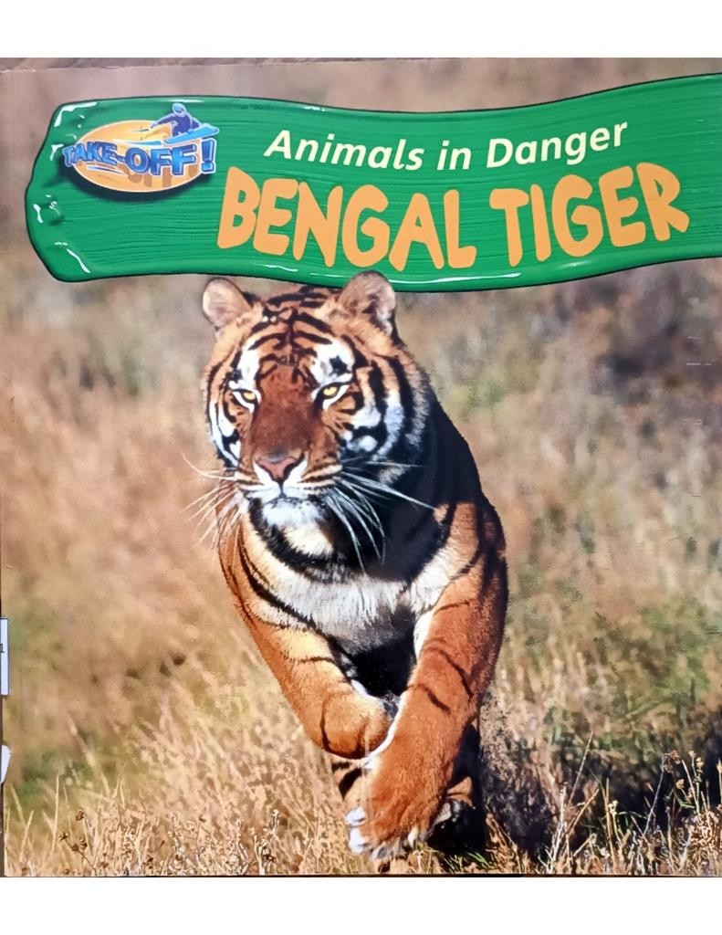 Animals In Danger- Bengal Tiger