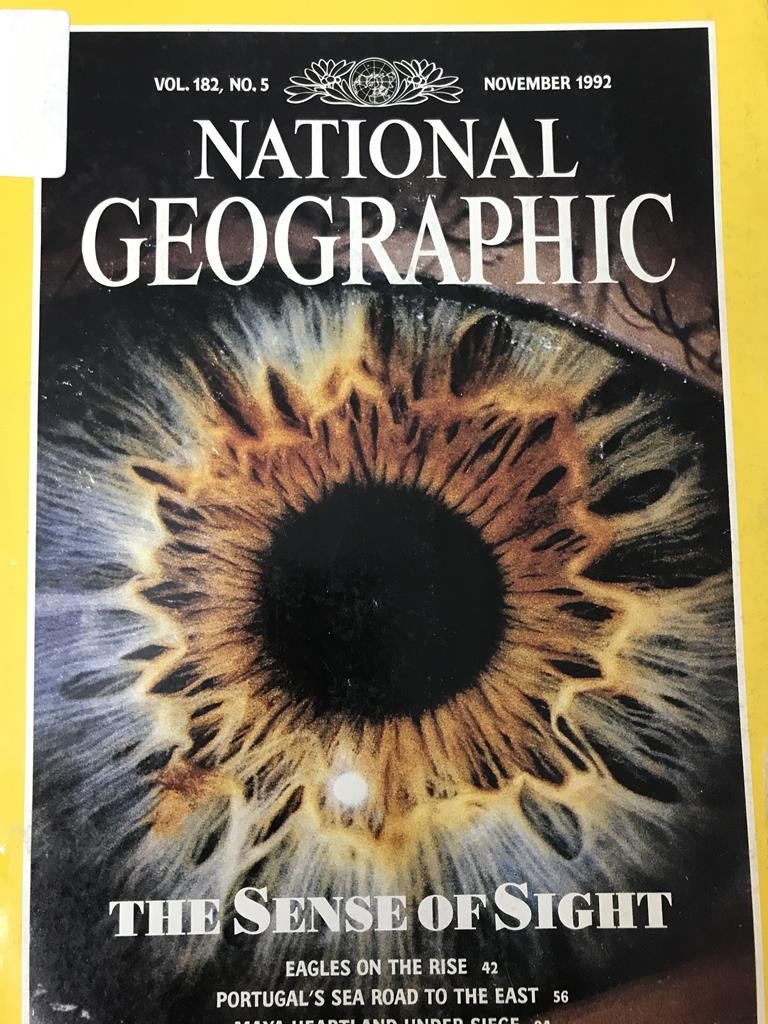 National Geographic-The Sense Of Sight