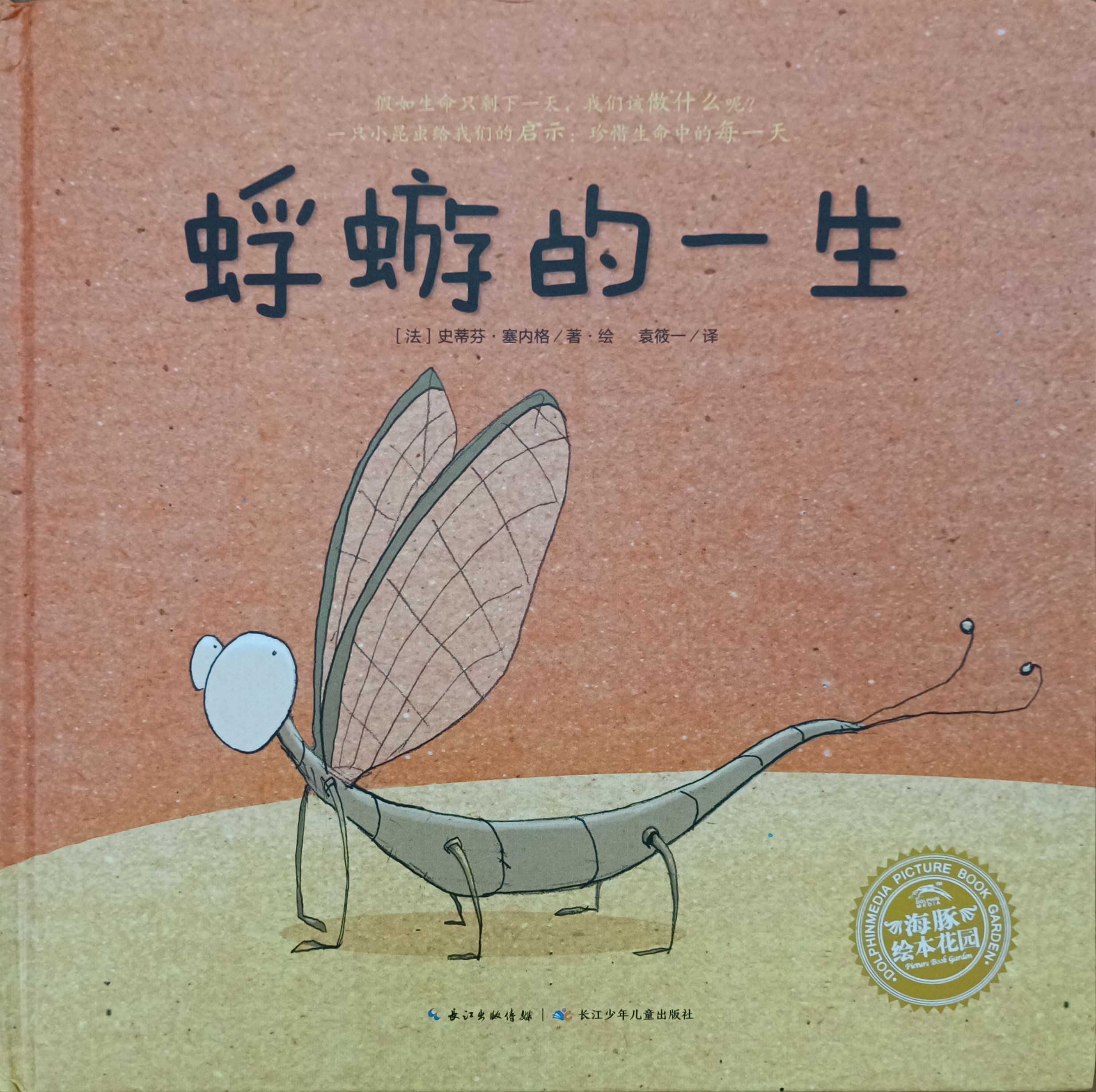 蜉蝣的一生
