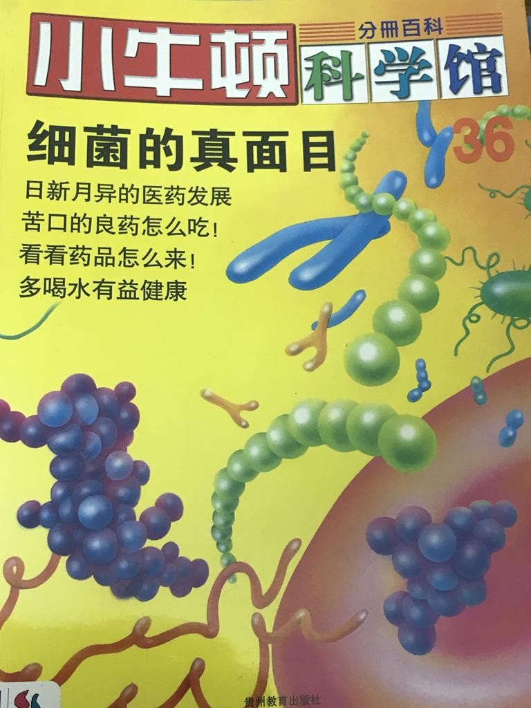 【小牛顿科学馆】细菌的真面目