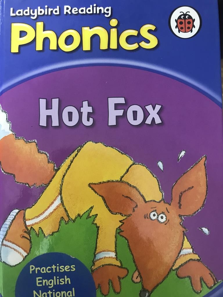 Hot Fox