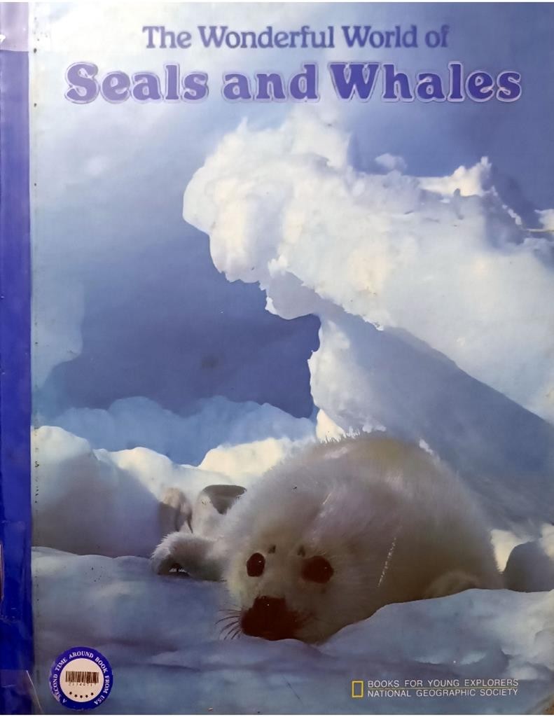 The Wonderful World Of Seals and Whales