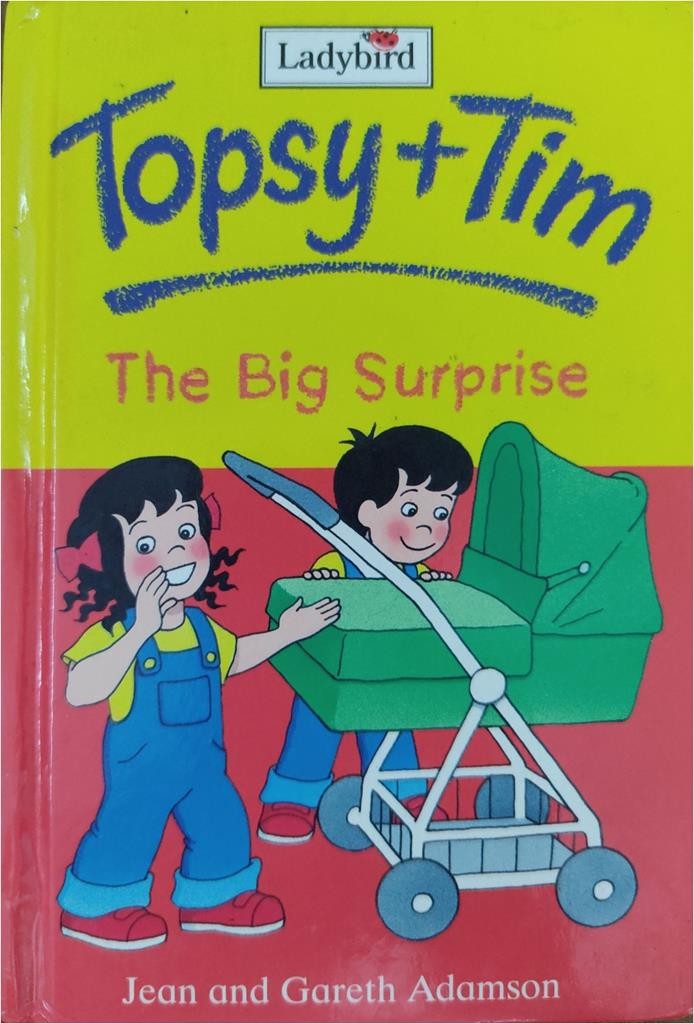 Topsy + Tim: The Big Surprise