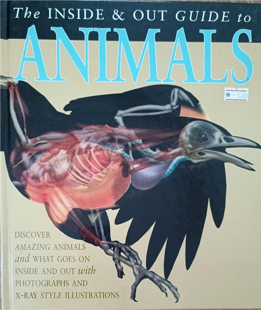 The Inside & Out Guide to Animals