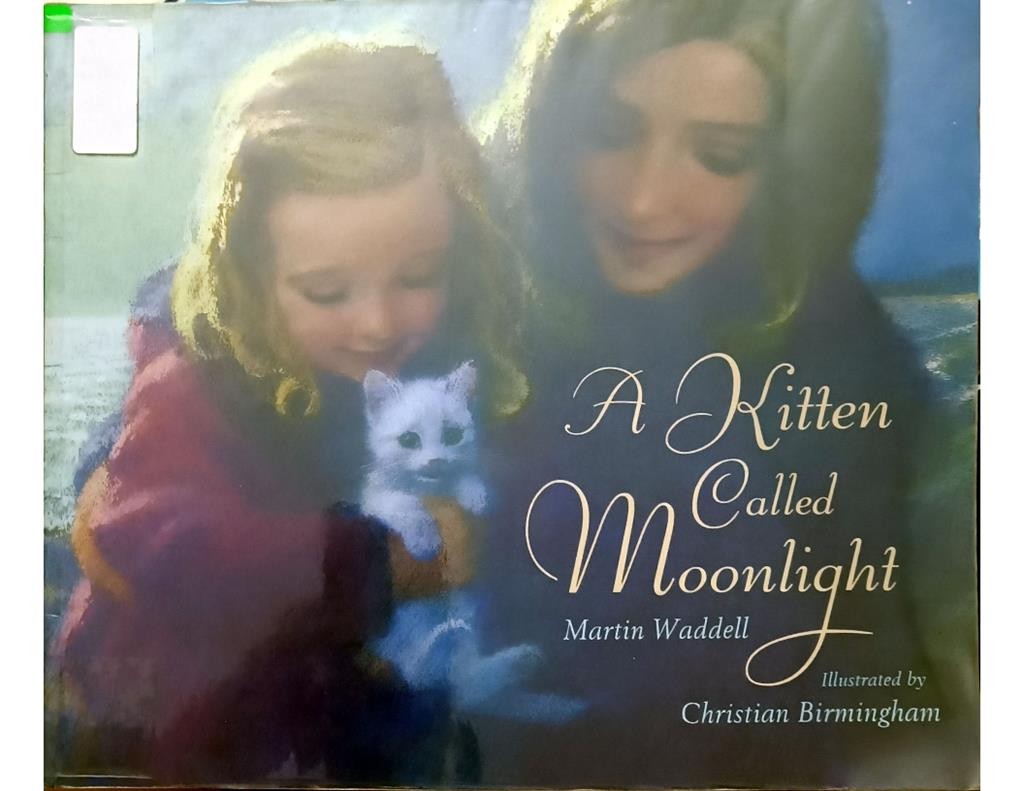 A Kitten Called Moonlight