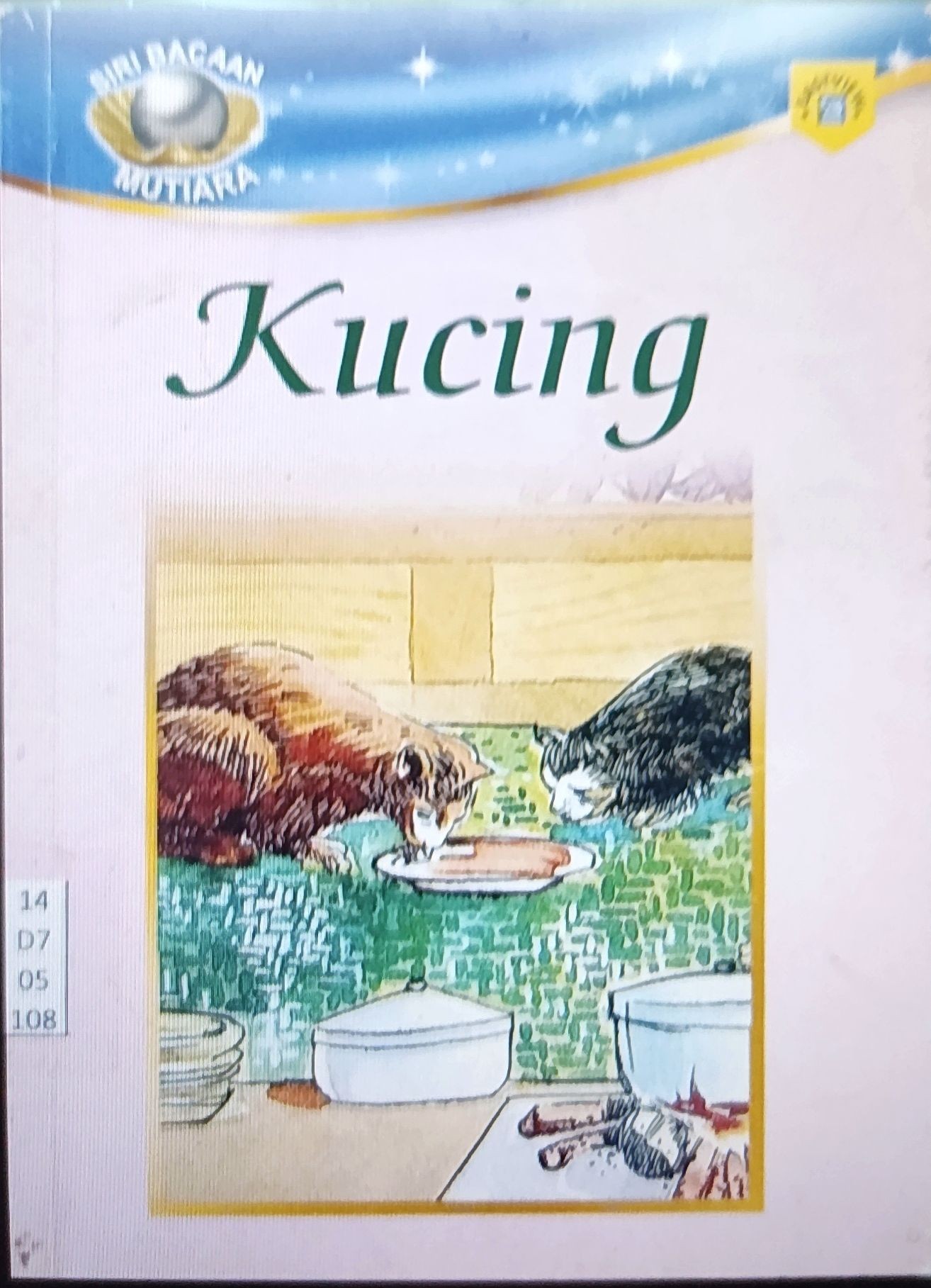 Kucing