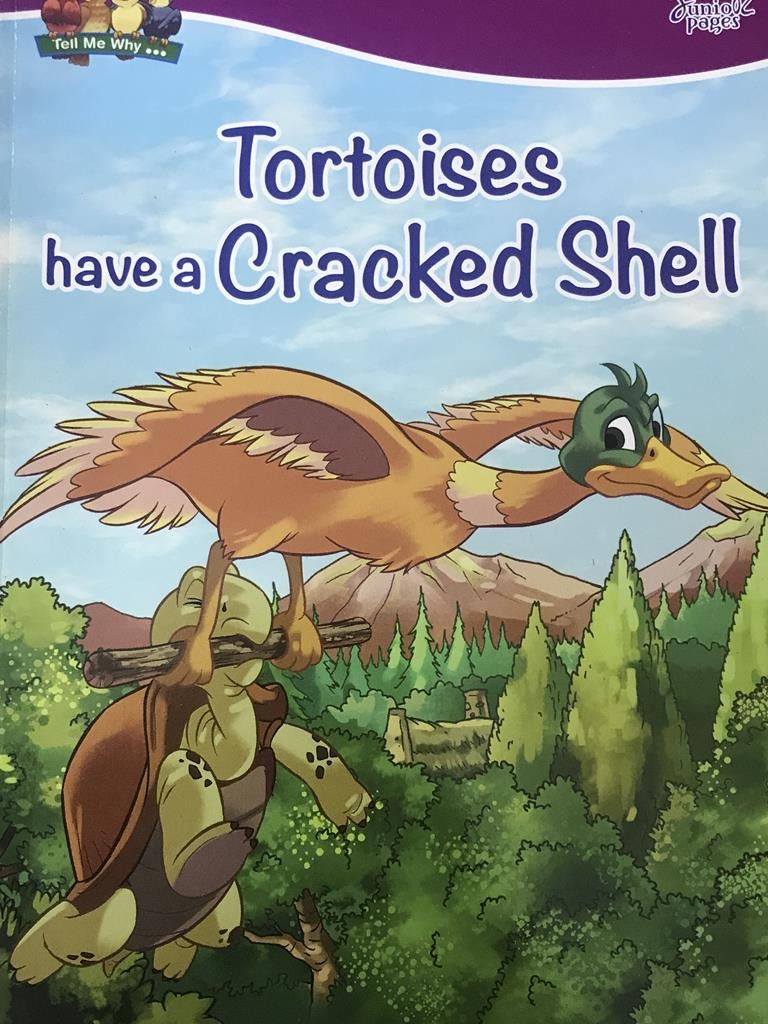 Tortoises Have A Cracked Shell