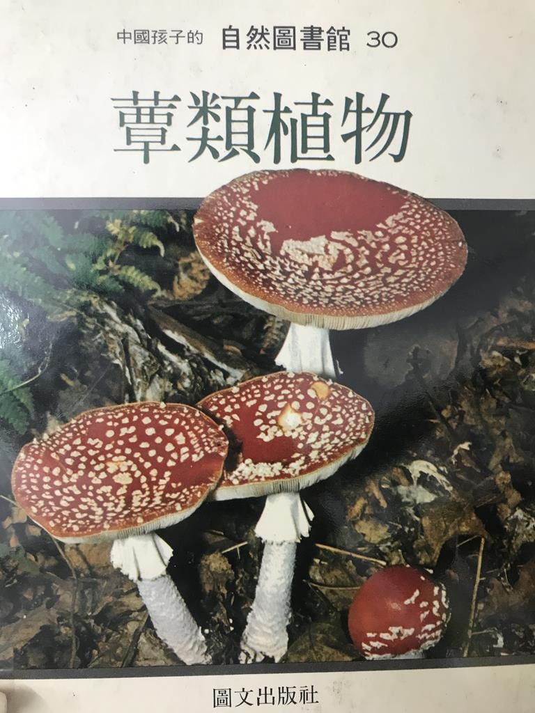 菌类植物