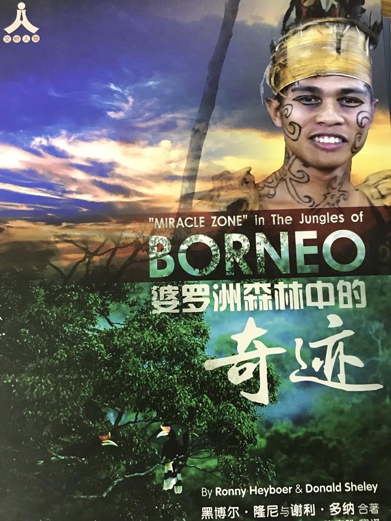 Borneo婆罗洲森林中的奇迹