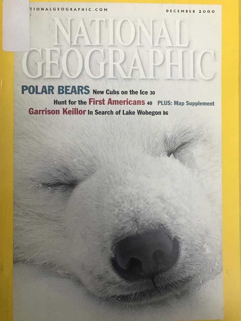 National Geographic - Polar Bears