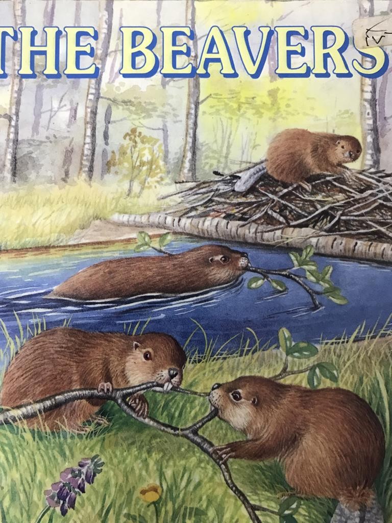 The Beavers