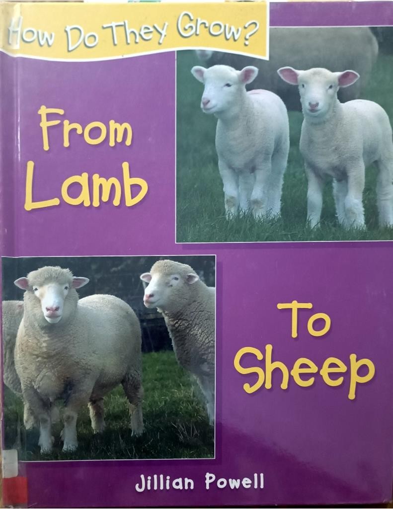 From Lamb To Sheep